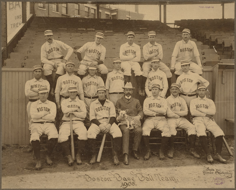Boston Braves Team History